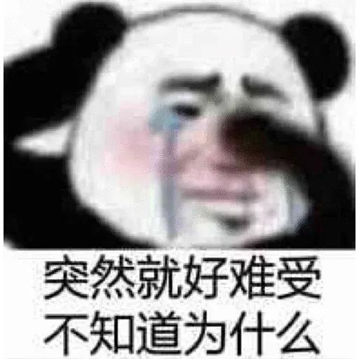 kk飞机会员 @kkhuiyuan