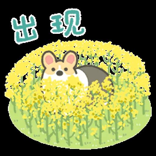 一日一柯基春日篇 (1 corgi 小小柯基) @kal_pc