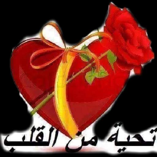 0bee395f331ea9fa16b995da025a82cf