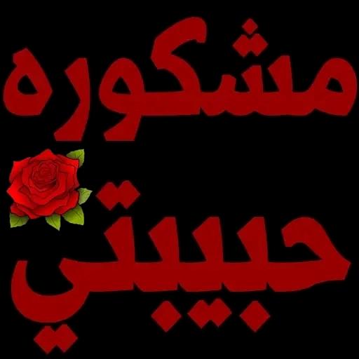 ugc_16de1a46-e1a4-4054-9288-074bd6ff4aea