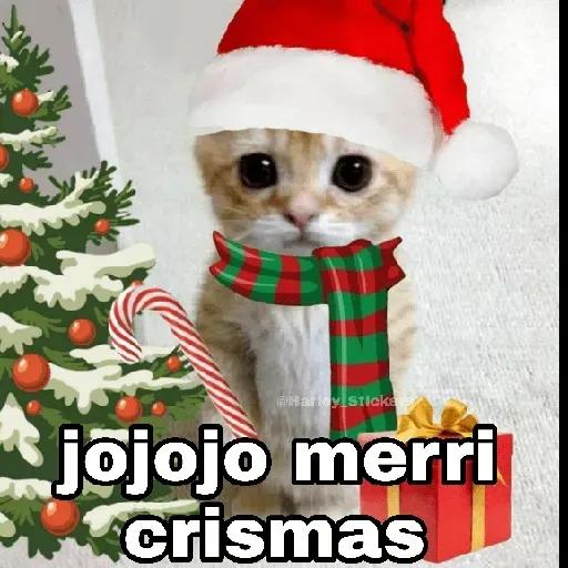 te espero bajo me arbolito