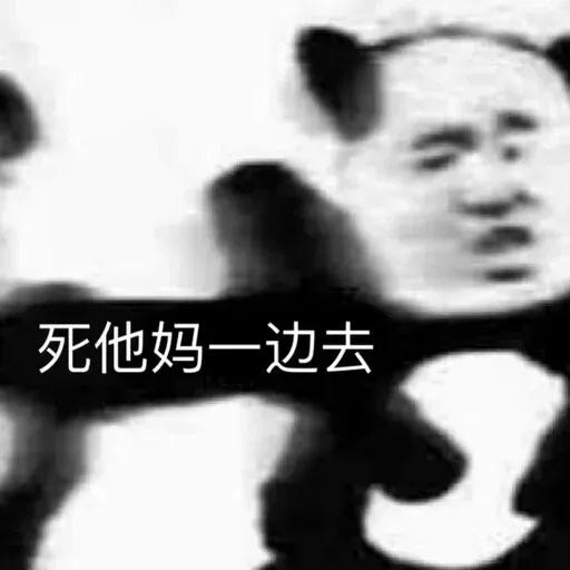 kk飞机会员 @kkhuiyuan
