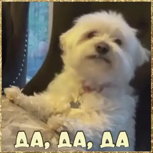 роллллллоог