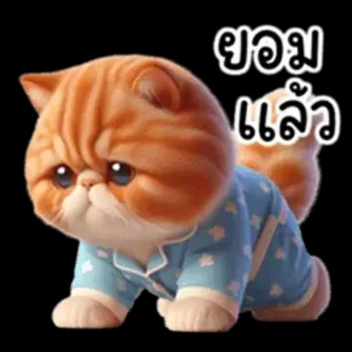 แมวขี้โมโหในชุดนอนสีอ่อน