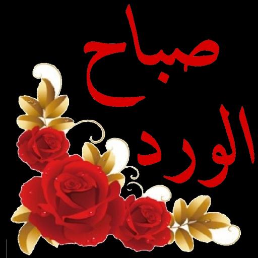 cc31886d051b823c638e2ee1e9d763f4