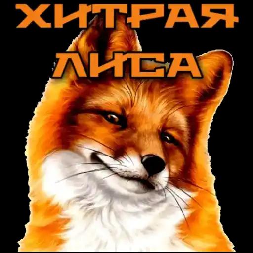 My Pack 4
