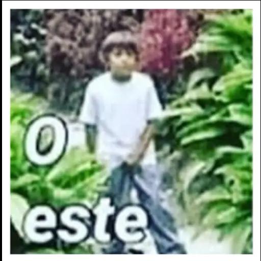 memes