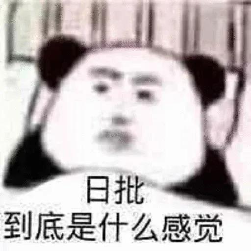 kk飞机会员 @kkhuiyuan