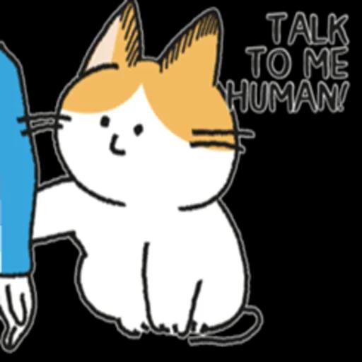 Do you have cat biscuits?