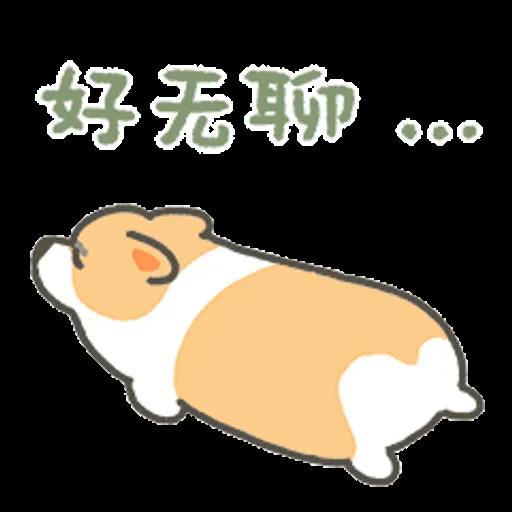 一日一柯基春日篇 (1 corgi 小小柯基) @kal_pc