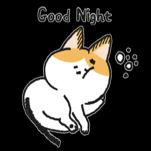 Do you have cat biscuits?