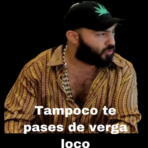 boi corriendo