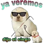 movimientos