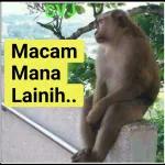 SAMPAI BILA MELAYU NAK KENA TIPU?