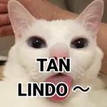 TAN LINDO ～