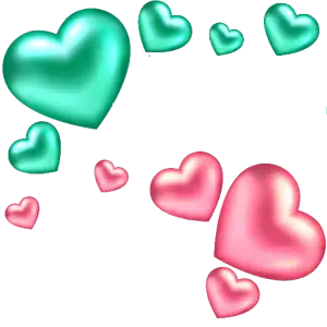 pfmwslk