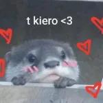 MADRE MIACOMO ESTÁEL PATIO