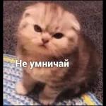 ппппппппппппппр