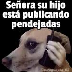 Publicando pendejada