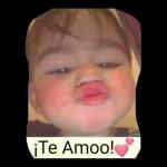 No voy a caer en provocaciones