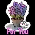 For you 💐