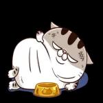 อรุณสวัสดิ์ทุกคน