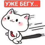 киса