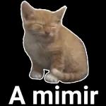 Payi Qué haces en línea?