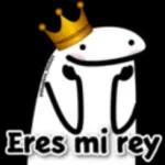 gris 22