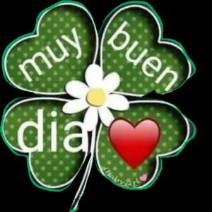 sIBD7G