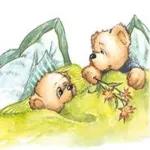 Bear's expressiepakket