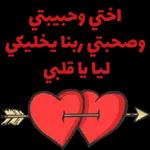 My Pack 7