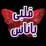 نسانهاییصباح الخ