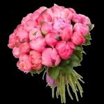 юдрптлрмито