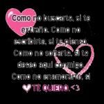amor