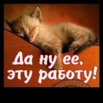 привет