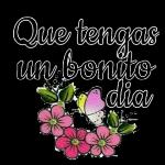 mis cosas