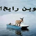 الو مكافحة الحمير؟