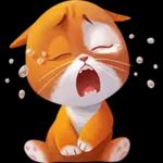 sad looking emoticon