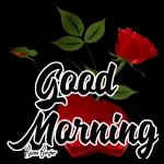 morning wish