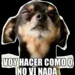 perrito