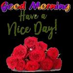 have a nice day