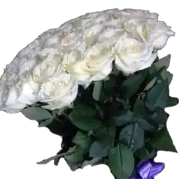 ☀️ Солнышко.