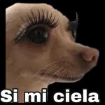 ¡Eso tilín!