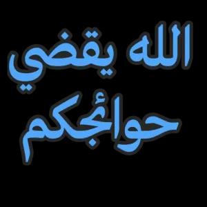 9TQZOp