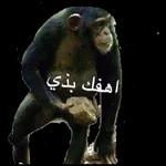 انت بتتكلم جد
