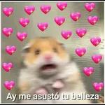 feliz cumpleaños
