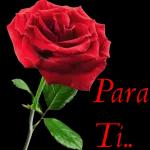 Nunca te dejará caer