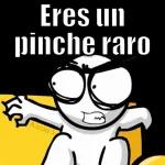 jajaja 