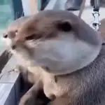 	Te envío todo mi cariño💓 